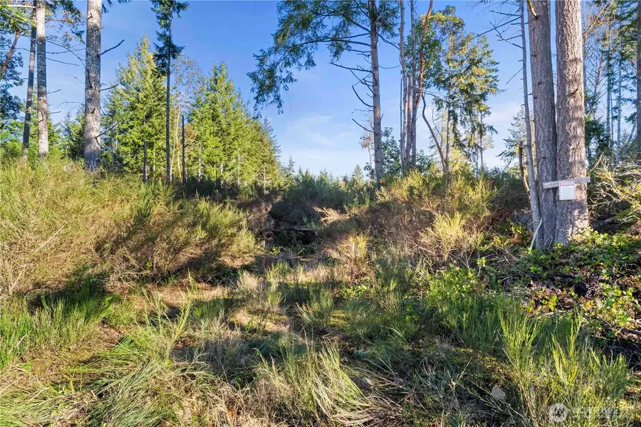 0 E Harstine Island Road S, Shelton, WA 98584 - Image #3