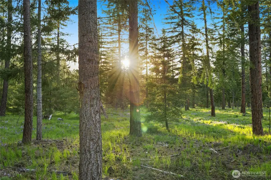 1001 Domerie Park Loop, Cle Elum, WA 98922 - #3