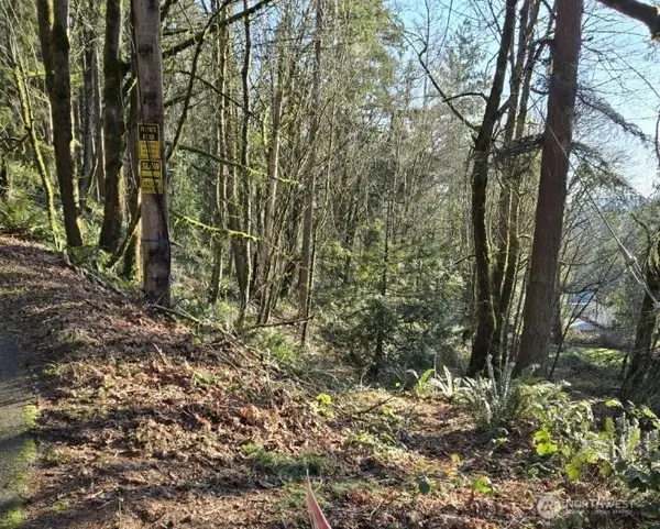 1217 218th Avenue Ne, Sammamish, WA 98074