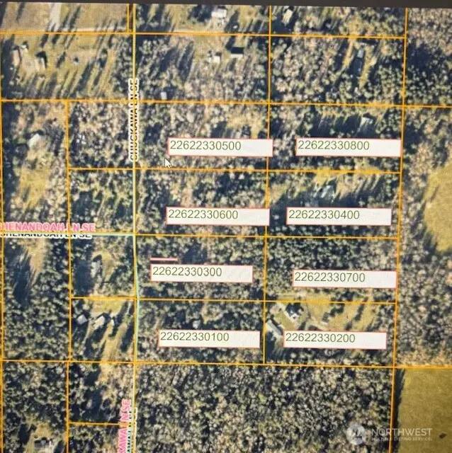 0 Chuckawa Lane Sw, Yelm, WA 98597 - #3