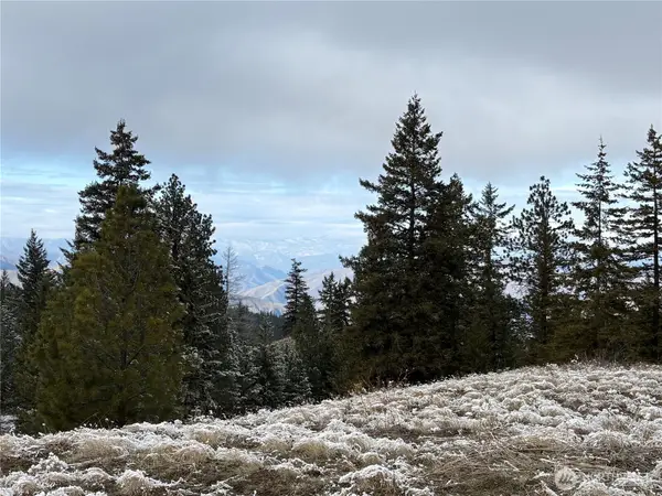 0 Redfield Rd, Waterville, WA 98858