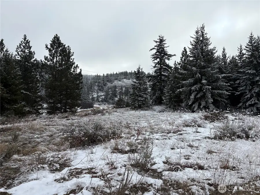 0 Redfield Rd, Waterville, WA 98858 - #2