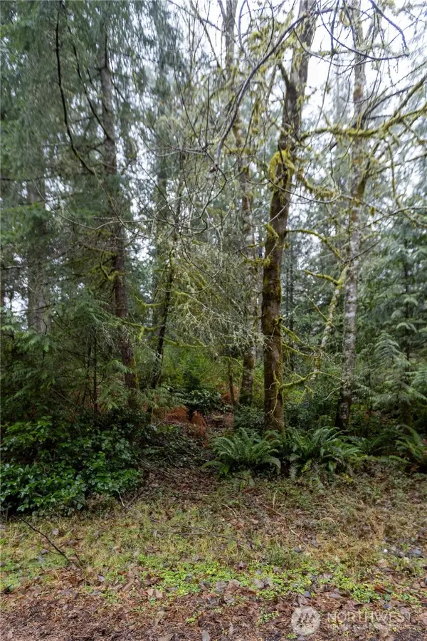 11416 86th Street Ct, Anderson Island, WA 98303