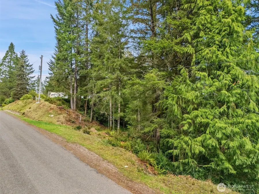 71 E Sleaford Road, Shelton, WA 98584 - Image #2