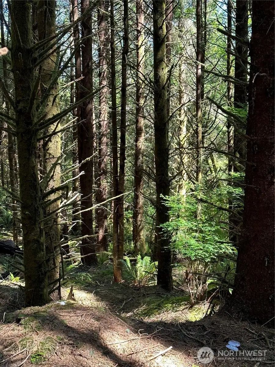 660 Chinook Valley Road #4, Chinook, WA 98614 - Image #3