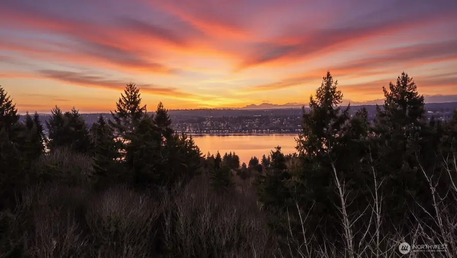 7017 NE 132, Kirkland, WA 98034 - Image #2