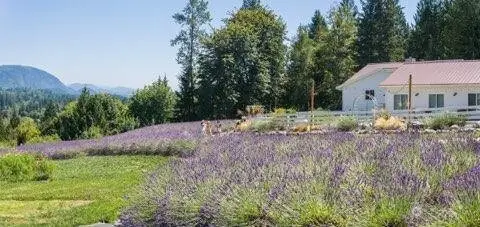 20129 Tveit Road, Arlington, WA 98223 - #2