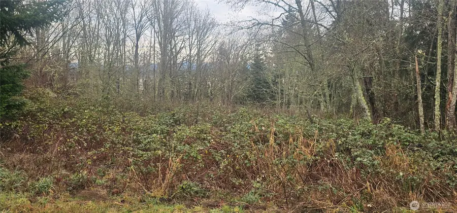 949 Michael Way #9, Camano Island, WA 98282 - Image #3