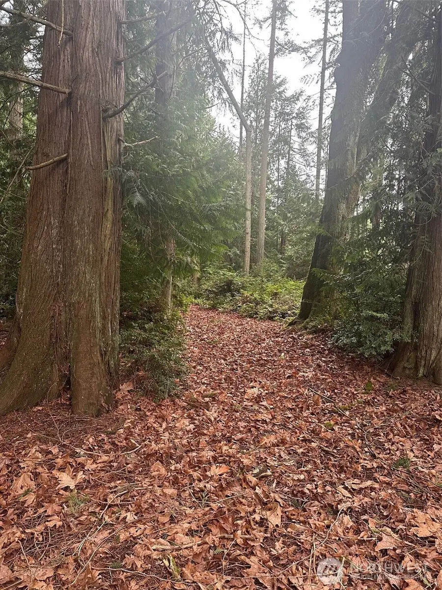 0 Kramer Road, Langley, WA 98260 - #2