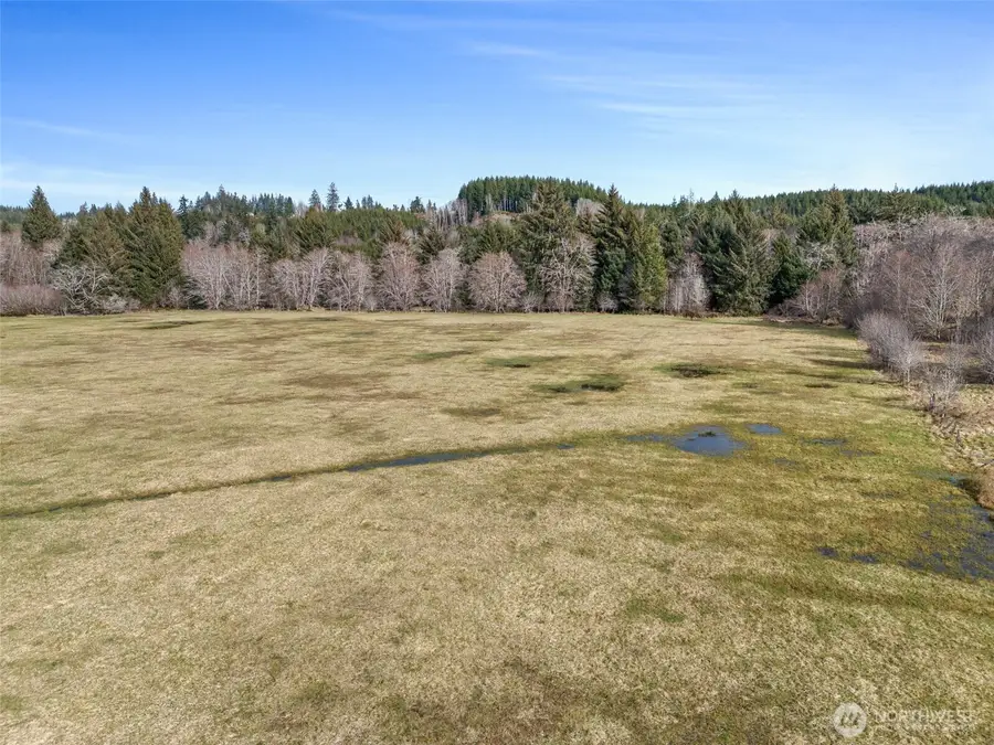 0 Rue Creek Road, Raymond, WA 98577 - Image #3
