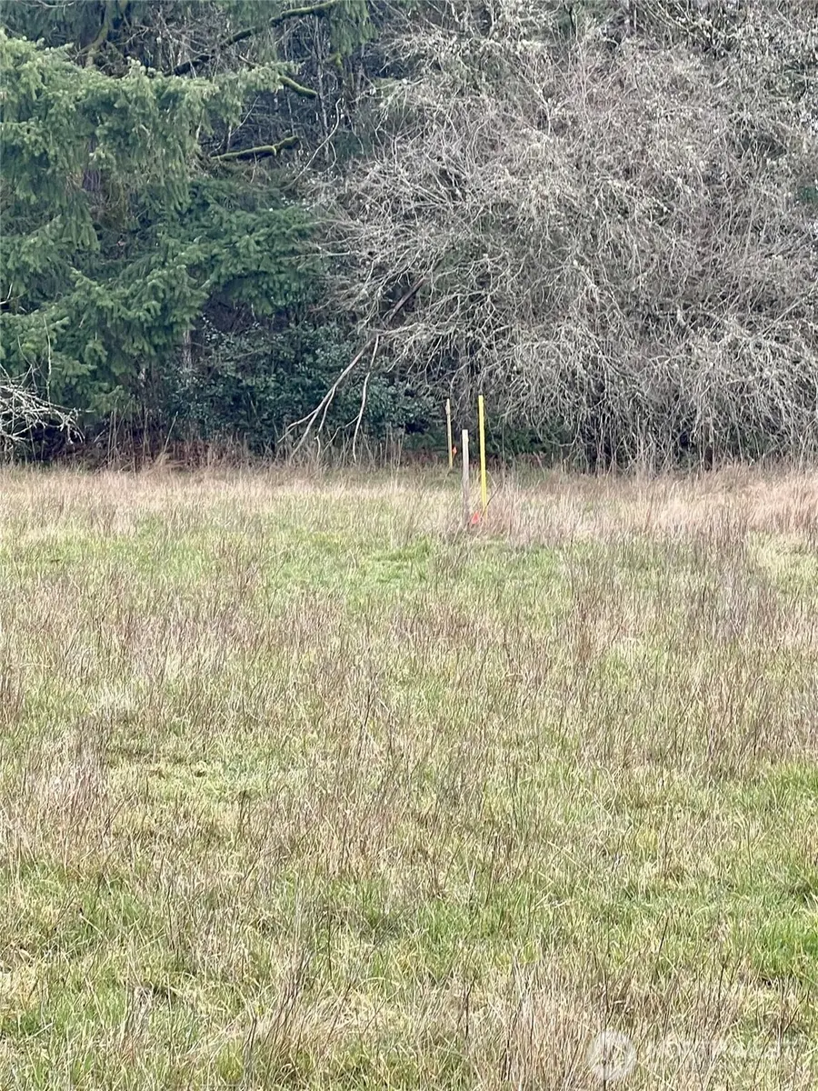 1 NE Jabez Street #Lot 1, Winlock, WA 98596 - Image #2