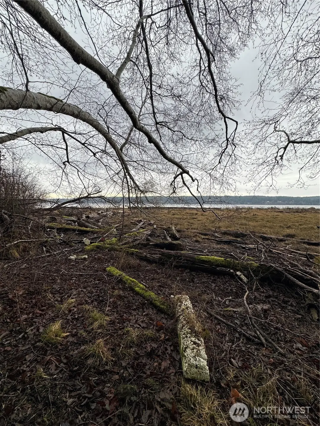 0 Hazel Point, Quilcene, WA 98376 - Image #1