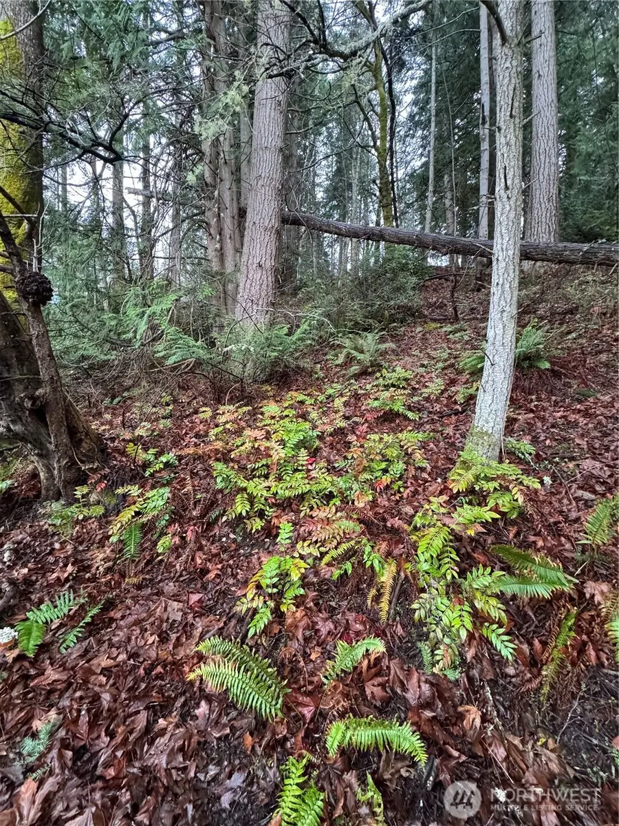 0 Hazel Point, Quilcene, WA 98376 - Image #2