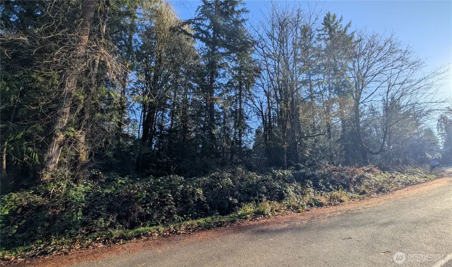 145 201st Avenue Se #35, Renton, WA 98058 - Image #2