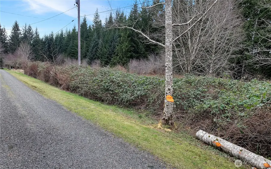 0 Barber Road, Sekiu, WA 98381 - #3