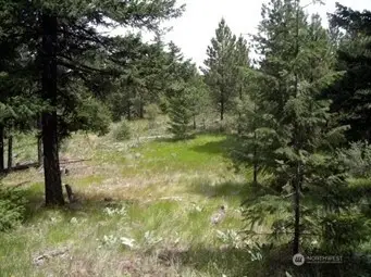 0 Mule Deer Road, Waterville, WA 98858 - Image #1