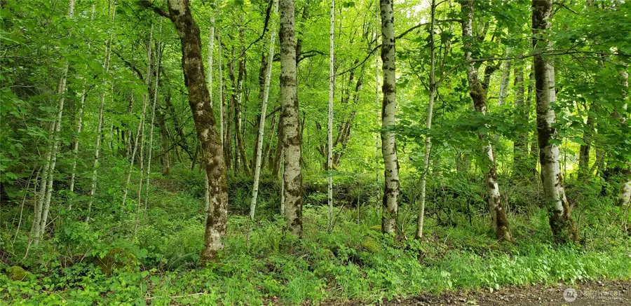 32 SE 341st Street, Enumclaw Plateau, WA 98051 - #3