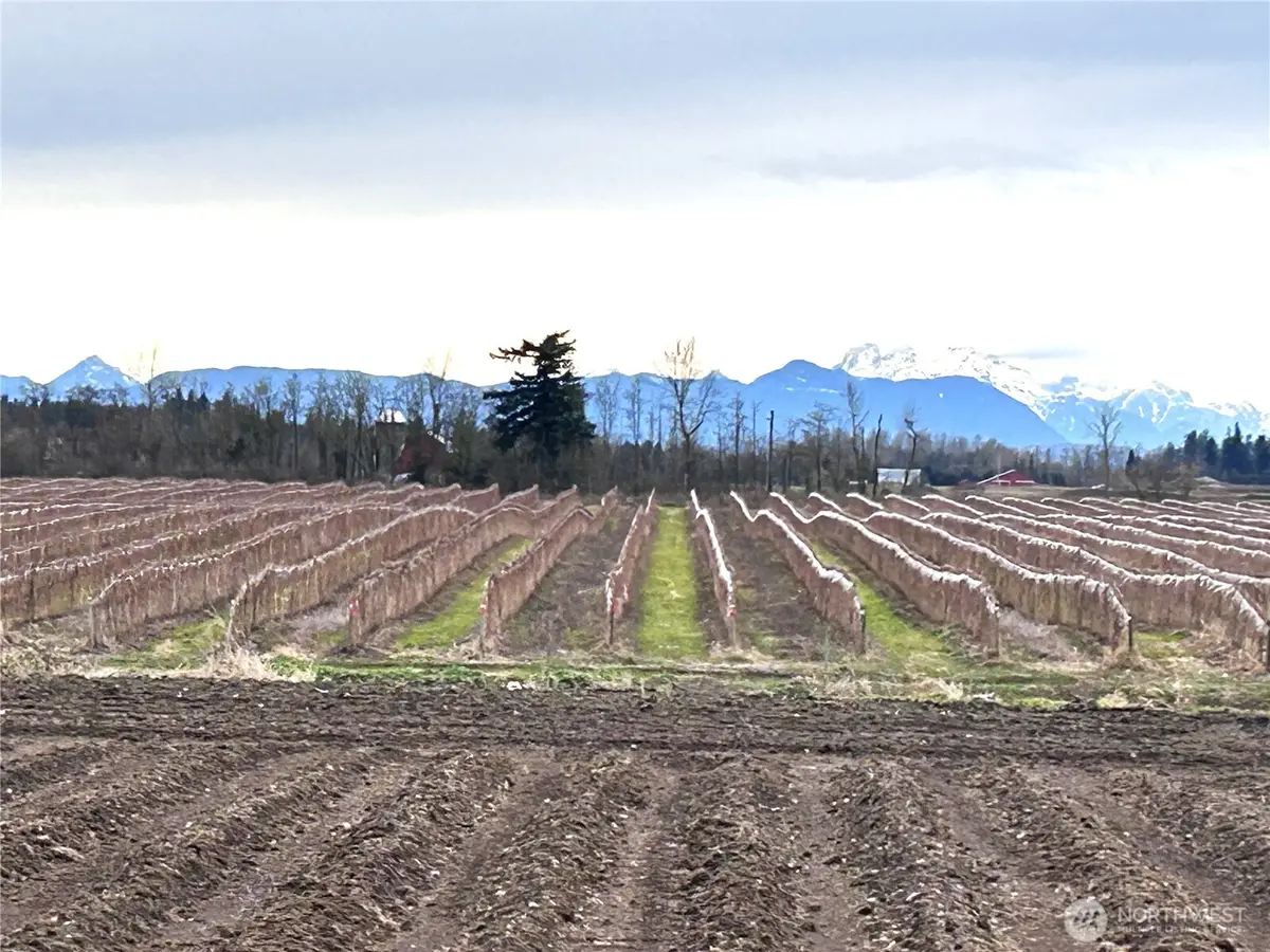 1766 Hampton Road #2, Everson, WA 98247 - #1