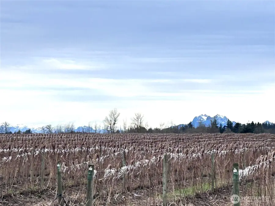 1766 Hampton Road #2, Everson, WA 98247 - #3