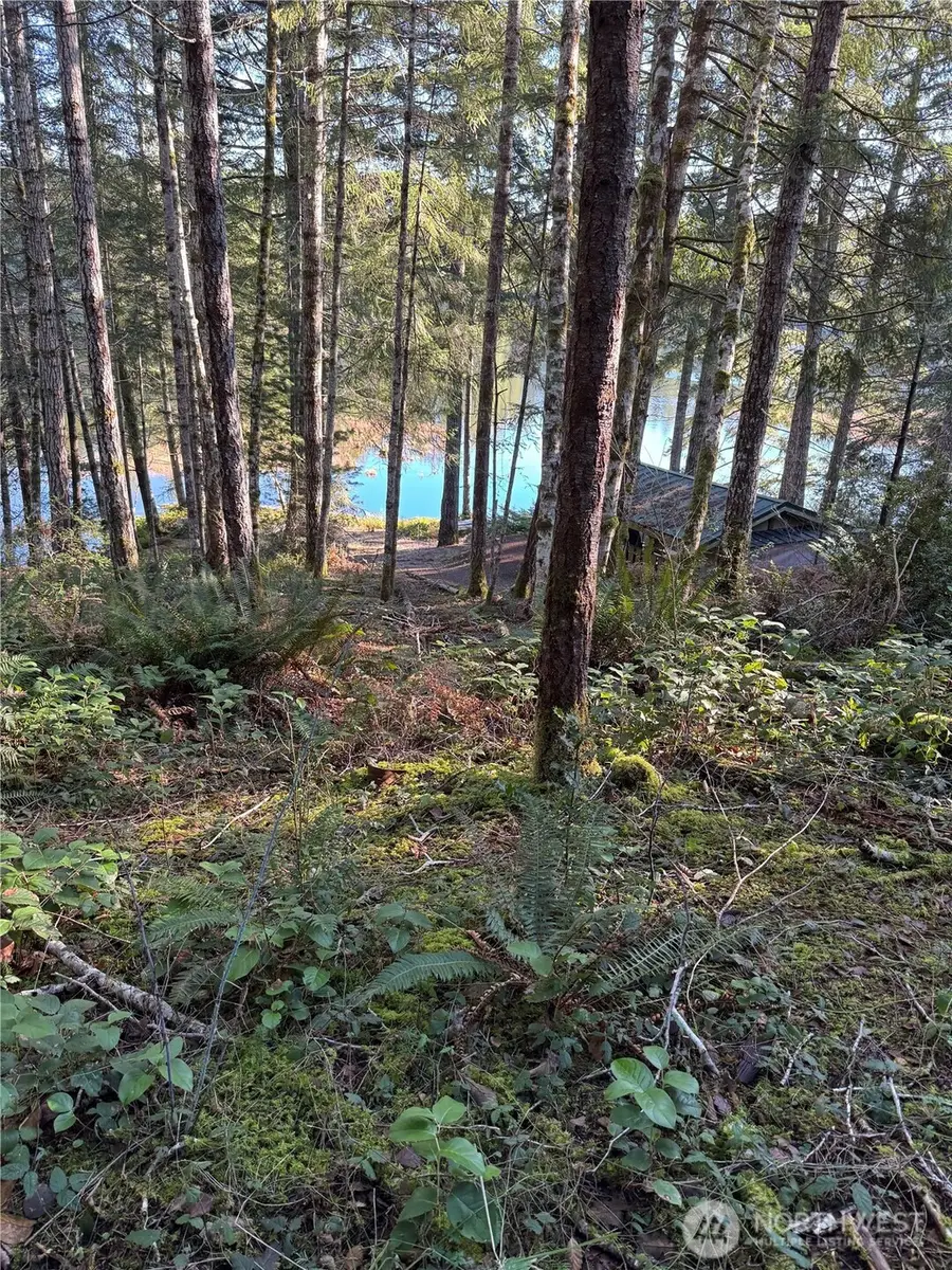 0 NE Lake Christine Road #3, Tahuya, WA 98588 - #3