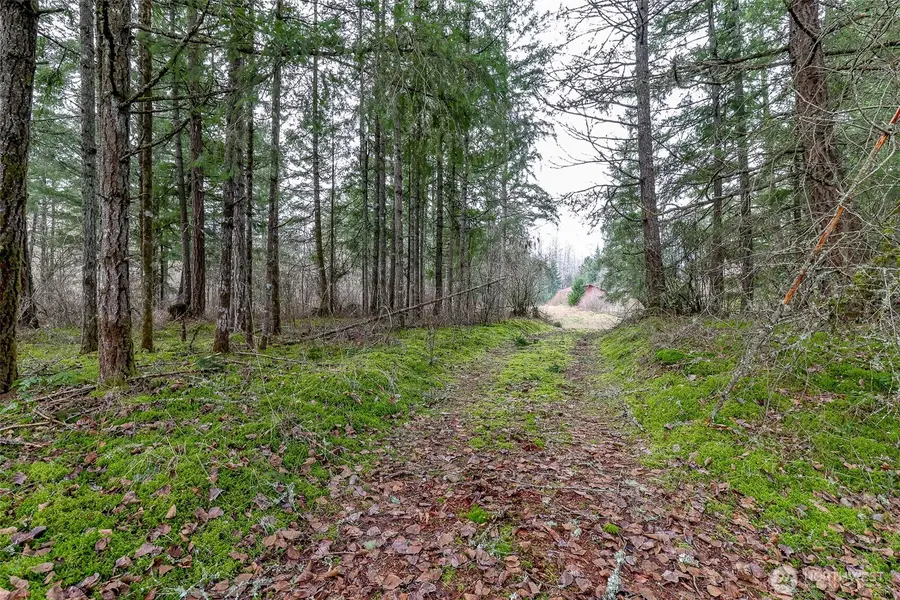 25414 48th Avenue E, Graham, WA 98338 - #2