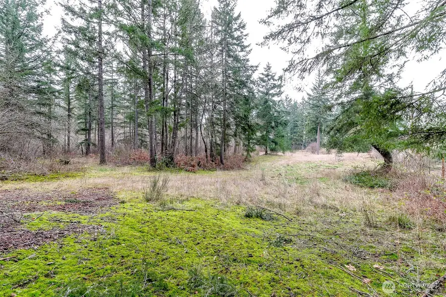 25414 48th Avenue E, Graham, WA 98338 - #3