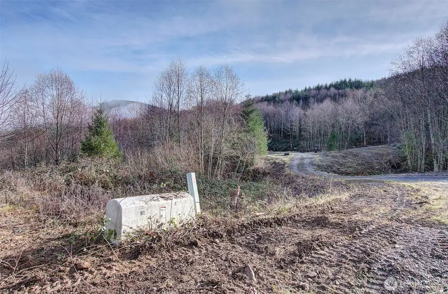 0 Remington Road, Kelso, WA 98626 - #3