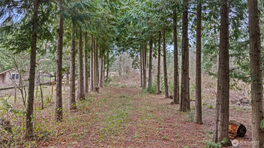 7906 266th Street E, Graham, WA 98338 - #3