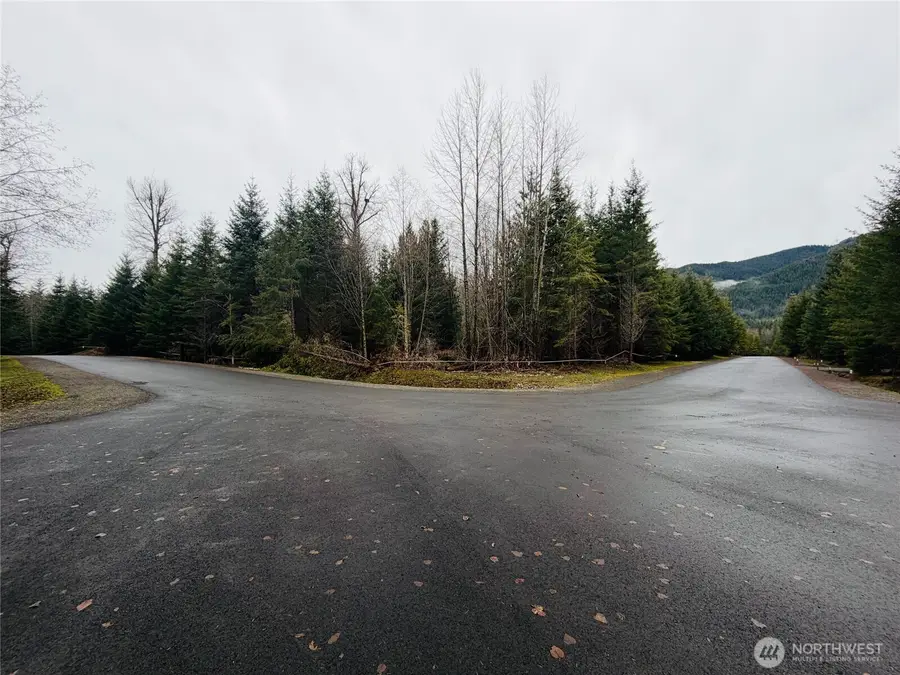 11857 Elk Trails Drive E #3, Greenwater, WA 98022 - #2