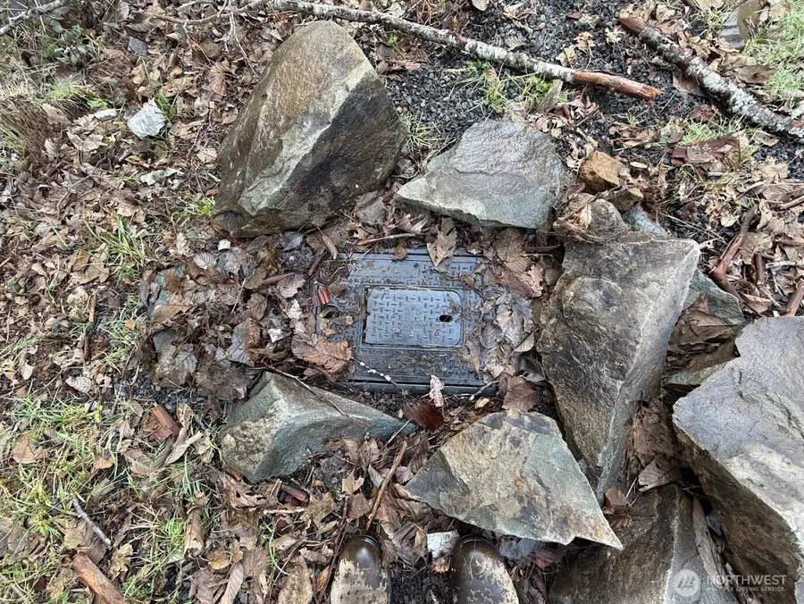 115 Ridge Lane, Packwood, WA 98361 - #2