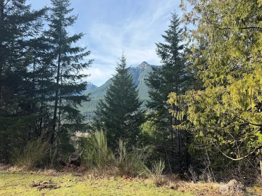 115 Ridge Lane, Packwood, WA 98361 - #3