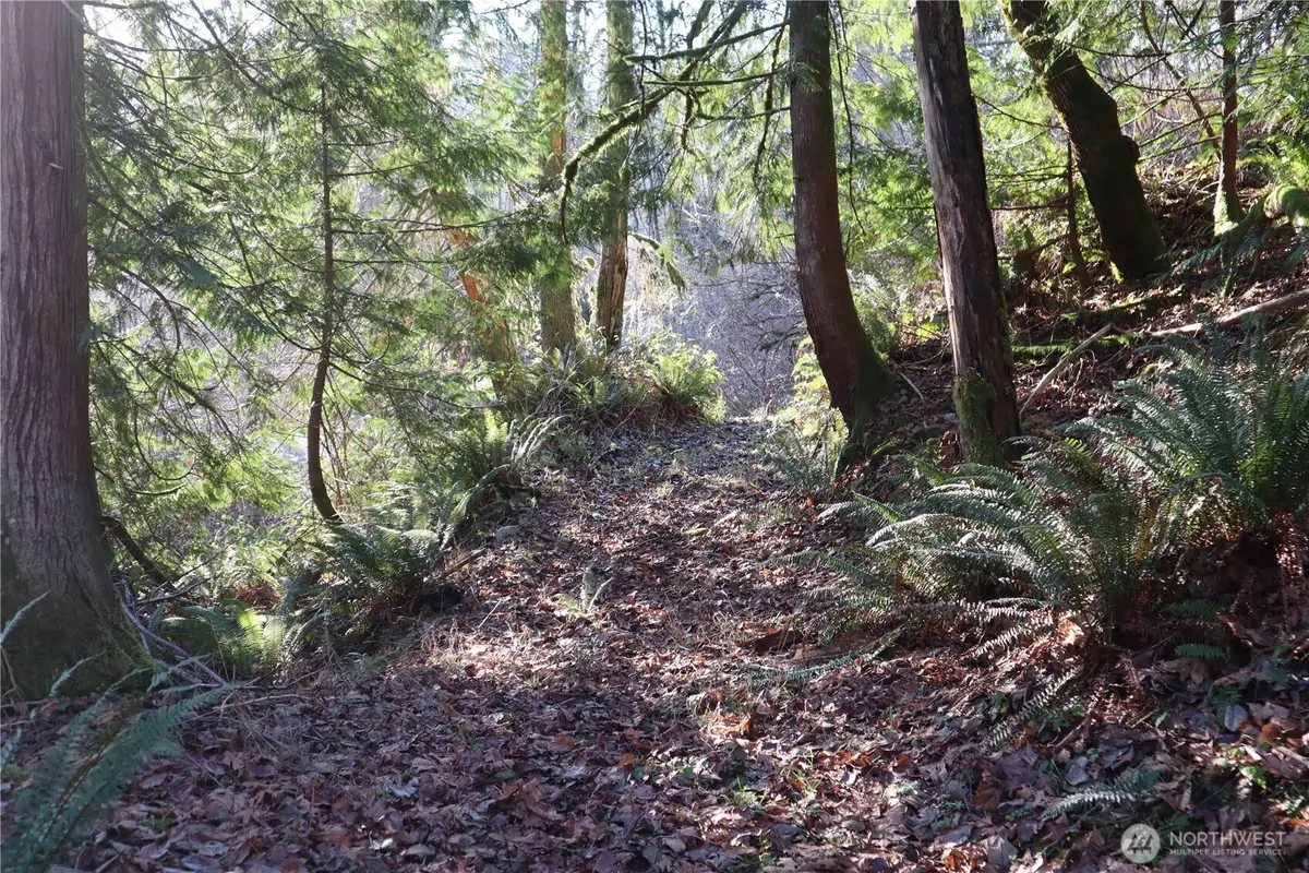 239 SE 238th Street, Maple Valley, WA 98038 - Image #1