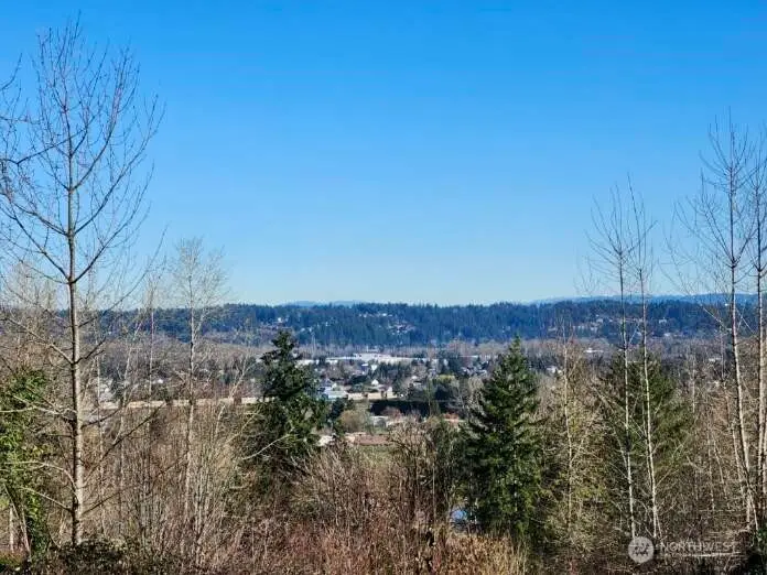 6414 74th Street E, Puyallup, WA 98371 - #3