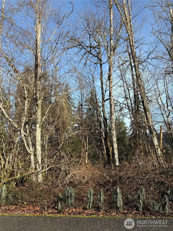 128 Valley View Drive, Mossyrock, WA 98564