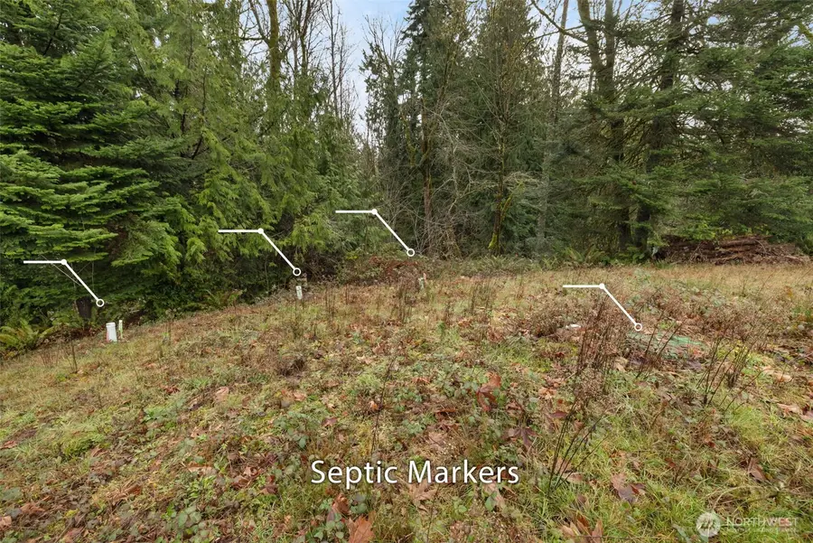 0 Se Olympiad Dr #2, Port Orchard, WA 98366 - Image #3