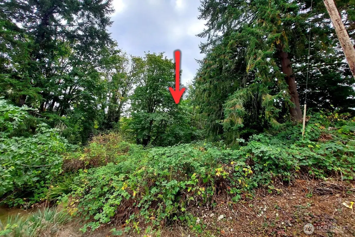 0 Lot C Melcher St #Lot C, Port Orchard, WA 98366 - Image #1