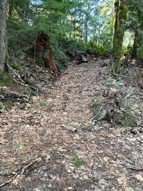 0 N Dow Ridge Road #14, Hoodsport, WA 98548 - #2