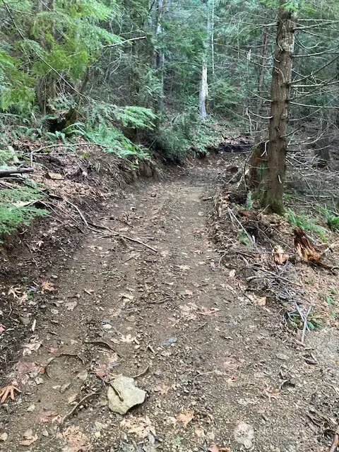 0 N Dow Ridge Road #14, Hoodsport, WA 98548 - #3