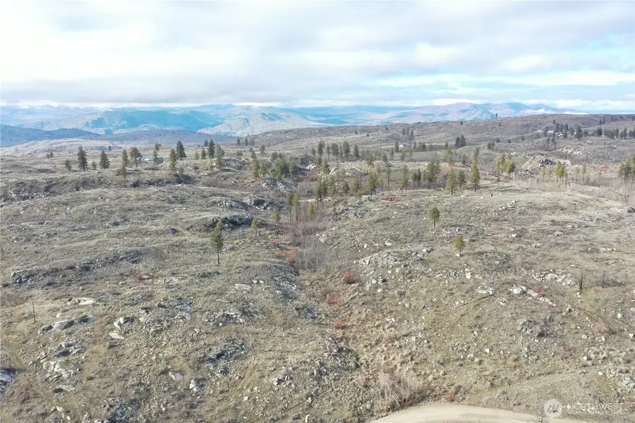 372 Cameron Lake Loop Road #3226162002, Okanogan, WA 98840 - #2