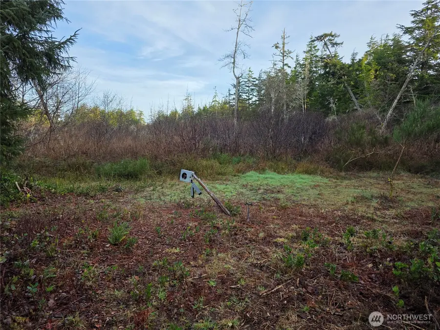 3011 202nd Street #3, Ocean Park, WA 98640 - #2