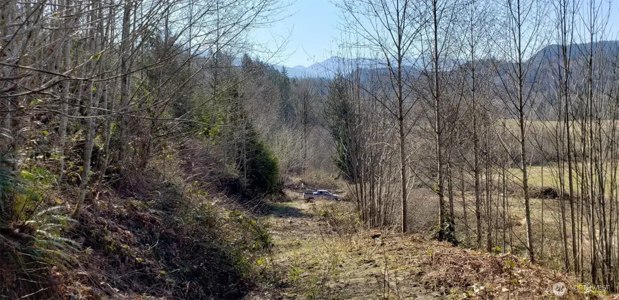 0 Concrete Sauk Valley Road, Concrete, WA 98237 - #3