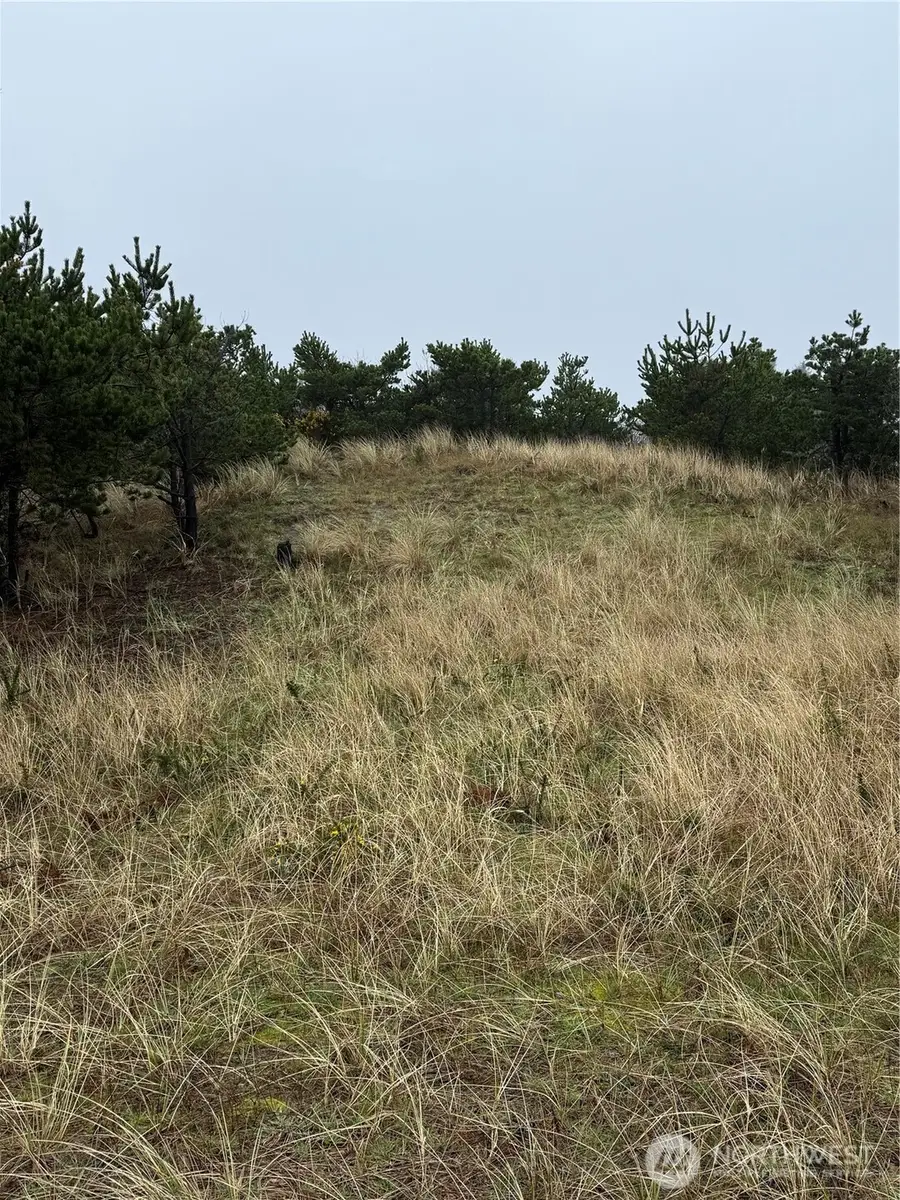 34806 I Street #48, Ocean Park, WA 98640 - #3