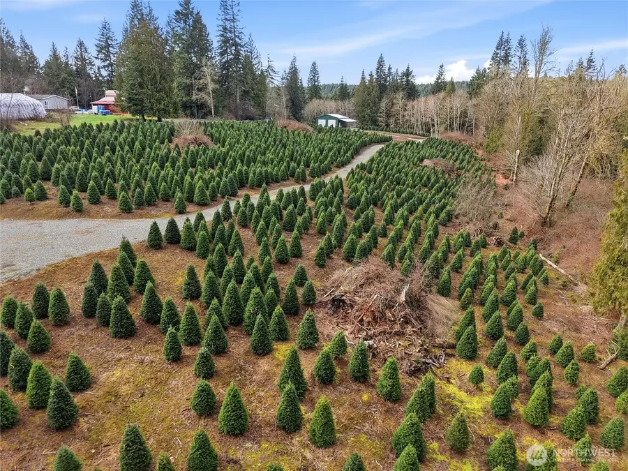 19420 Abbey Lane Se, Bucoda, WA 98530 - #3