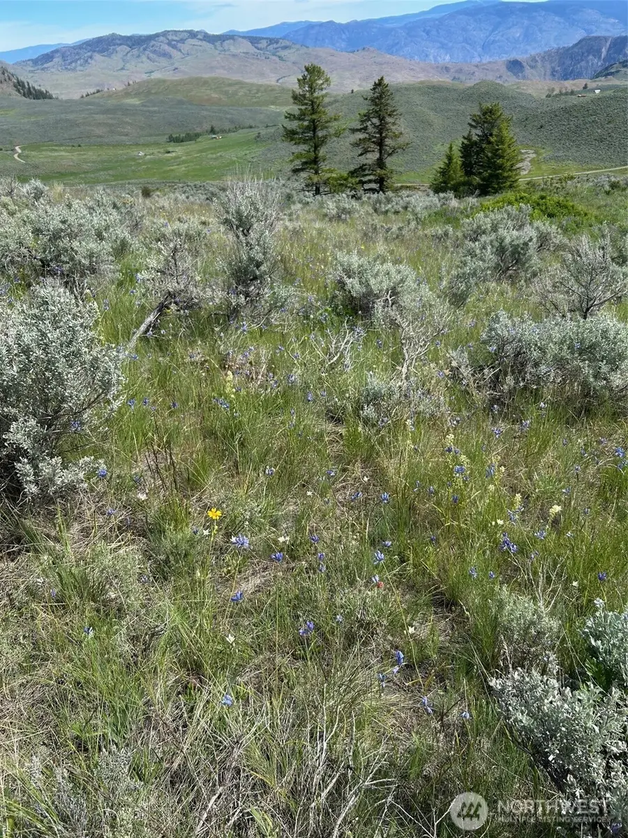 2 Tbd Ellemeham Mountain Road, Oroville, WA 98844 - #3