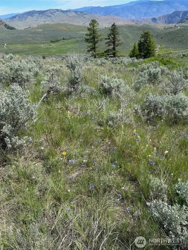 3 Tbd Ellemeham Mountain Road, Oroville, WA 98844