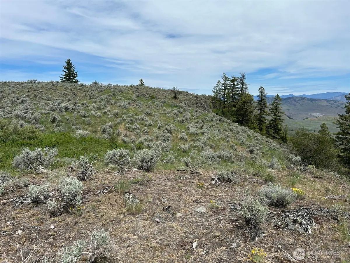 4 Tbd Ellemeham Mountain Road, Oroville, WA 98844 - #1