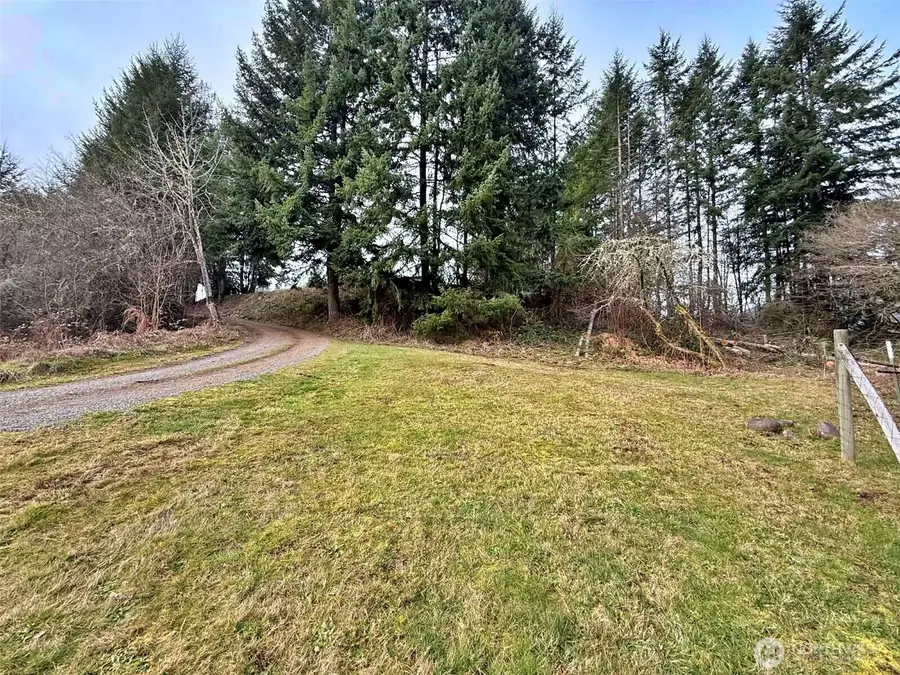 384 Peters Road, Randle, WA 98377 - #3