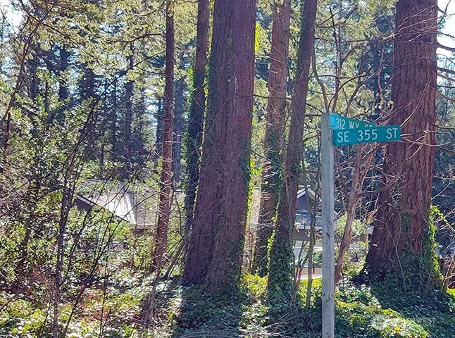 355 312th St Way Se #1-4, Enumclaw, WA 98022 - #1