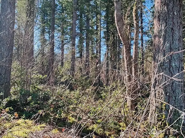 355 312th St Way Se #1-4, Enumclaw, WA 98022 - #3