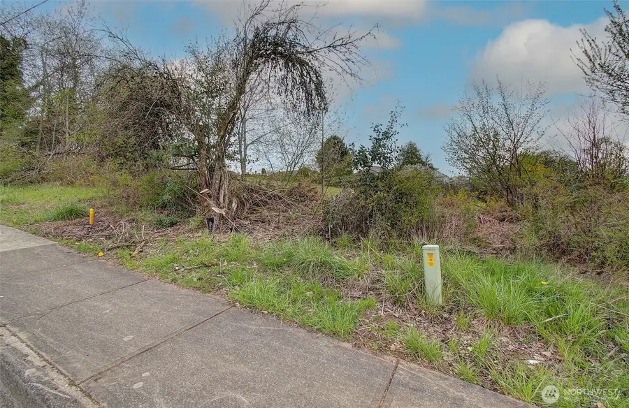 1319 Aspen Avenue, La Center, WA 98629 - #2